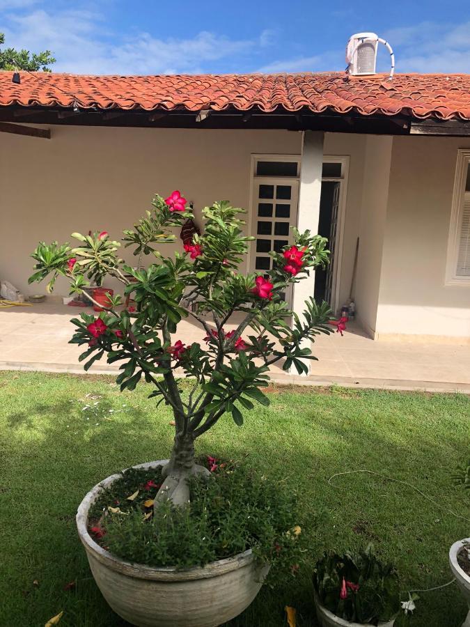 Caroa Piranhas Suites Εξωτερικό φωτογραφία